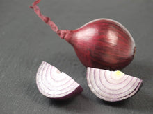 Burgundy red onion Seeds (Allium cepa) for growers stocking the kitchen garden or compact backyard rows