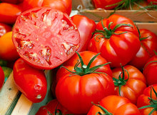 Tomato Solanum Lycopersicum Legend Seeds for a fresh homegrown crop from the Kitchen Garden