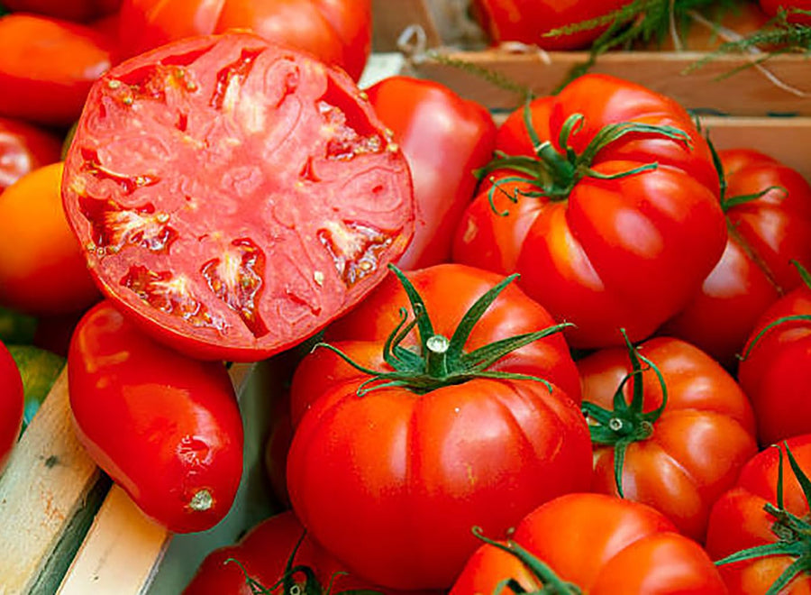Yellow (Tomato Vegetable Seeds – Juicy and Low-Acid Tomatoes for Fresh Eating) for planting in garden
