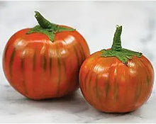 Eggplant Solanum Melongena Rare Melon Seeds prized among growers for kitchen Urban Farming