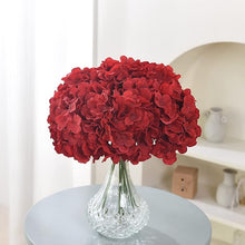 Hydrangea Hydrangea Macrophylla Red Seeds for climbing cover in the Garden Shaded Areas