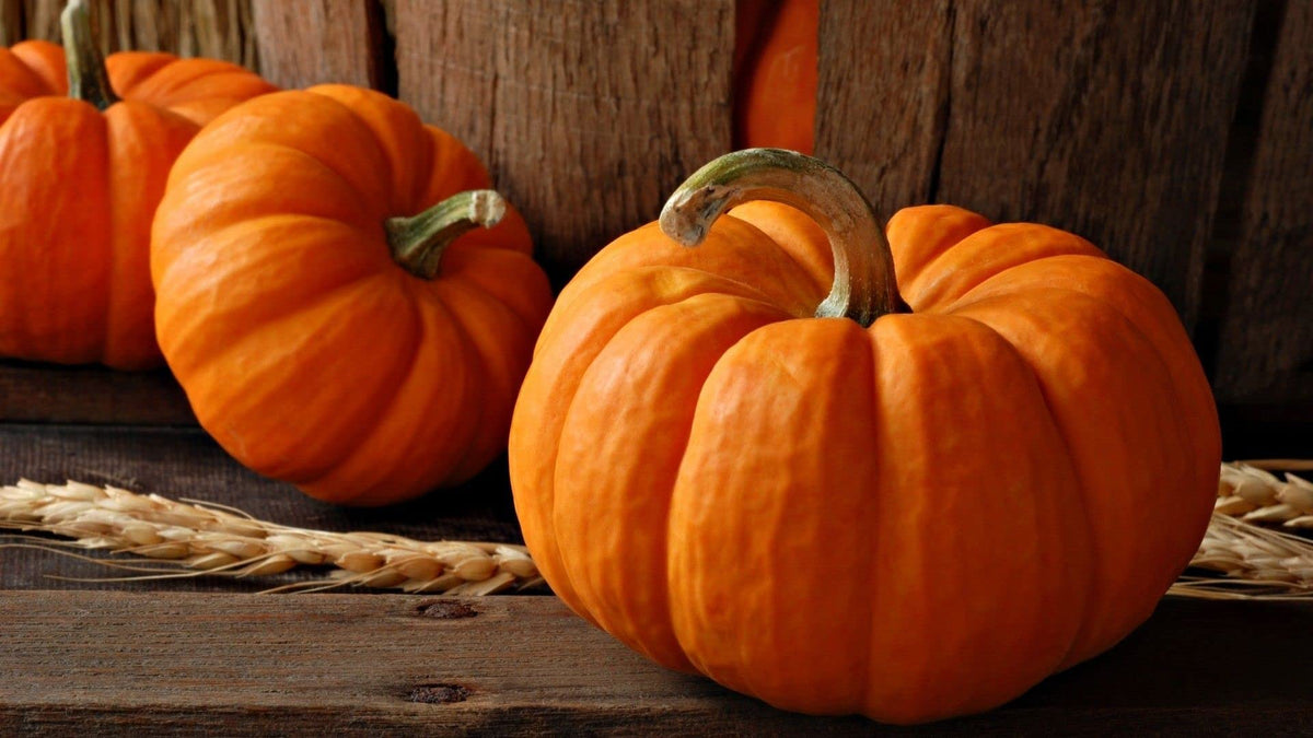 Peanut-Shaped Pumpkin Cucurbita pepo vegetable seeds for kitchen garden planting - for planting in home garden
