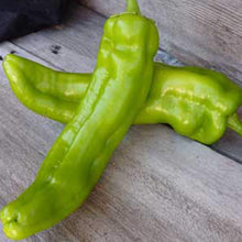 Anaheim Pepper Seeds for growers stocking a kitchen garden