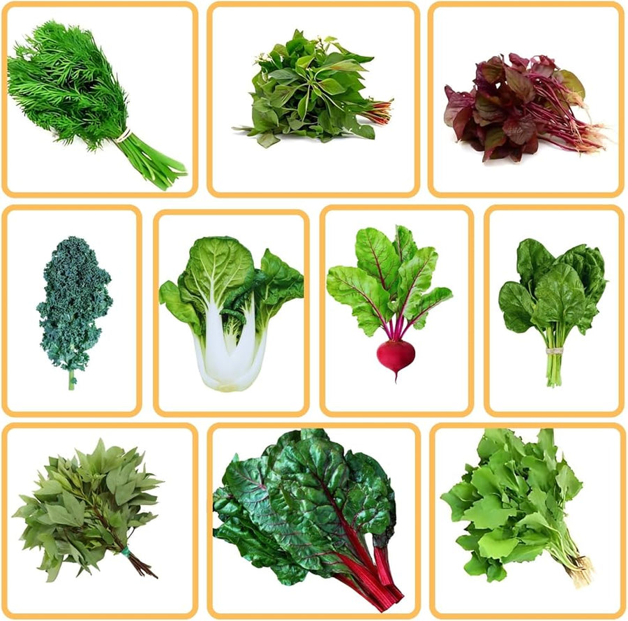 Vitamin Green Asian Greens Seeds for vegetable gardening