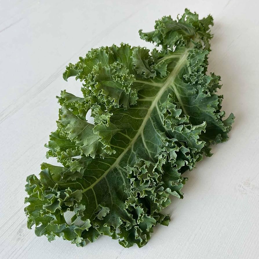Siberian Dwarf organic heirloom kale seeds