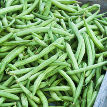 Top Crop Bean Seeds for productive rows in the Vegetable Gardens