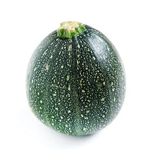 Round Zucchini Summer Squash Seeds (Cucurbita pepo) for growers stocking the Vegetable Patch