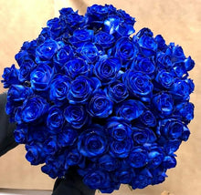 Bonsai Blue Roses Seeds (Rosa spp.) for growers establishing the Balcony Garden