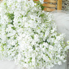 Gypsophila Gypsophila Paniculata Seeds for a lasting display in the Garden Floral Bouquets
