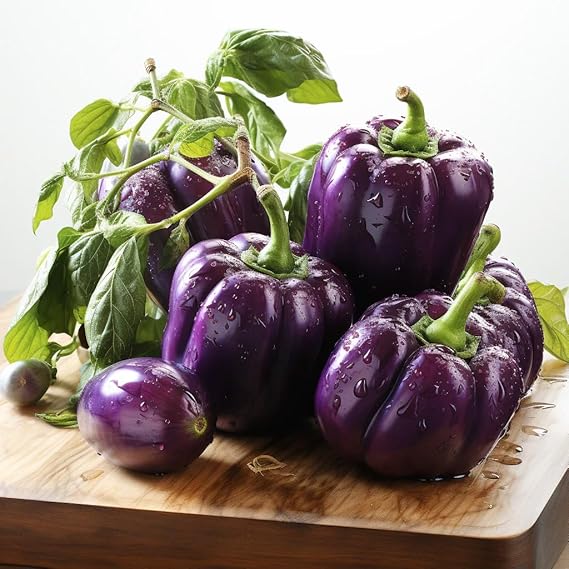 Pepper Capsicum annuum for planting in vegetable patch
