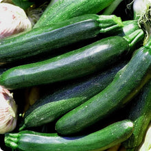 Black Beauty Summer Squash Zucchini Seeds for a productive addition to the vegetable patch