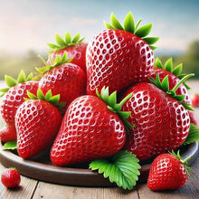 Red Strawberry Fruit - for planting in home garden