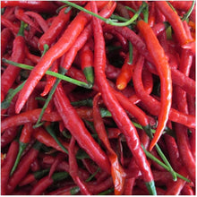 Cayenne Long Red Hot Pepper Seeds for a fresh homegrown crop from the vegetable patch