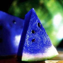 Multicolor Giant Watermelon Seeds for growers stocking a kitchen garden