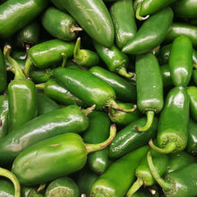 Farmers Market jalapeño plant grown from seeds with thick-walled, mildly spicy green fruits
