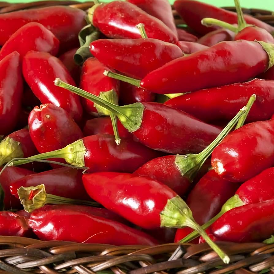 Peter Pepper red hot chili seeds for spicy gardens