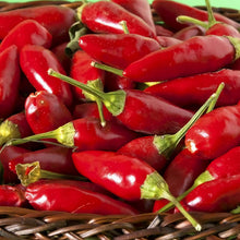 Thai Sun Hot Pepper Seeds (Capsicum annuum) for growers stocking a kitchen garden