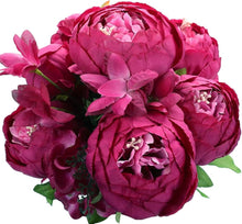 Peony Root Seeds (Paeonia lactiflora) for colorful blooms in the Home Garden or Flower Display Area