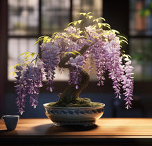 Wisteria Seeds for a lasting addition to the landscape