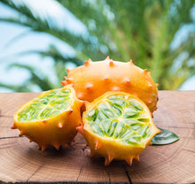 Horned Cucumber Kiwano Seeds for productive rows in the Exotic Gardens