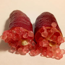Ice Pink Finger Lime Seeds for growers planting the Balcony Plants