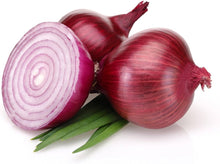 Burgundy Red Onion Seeds (Allium cepa) for productive rows in the Kitchen Raised Beds