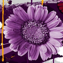 Sunflower Helianthus Annuus Purple Bonsai Seeds for long-term planting in the Indoor Small Garden Spaces