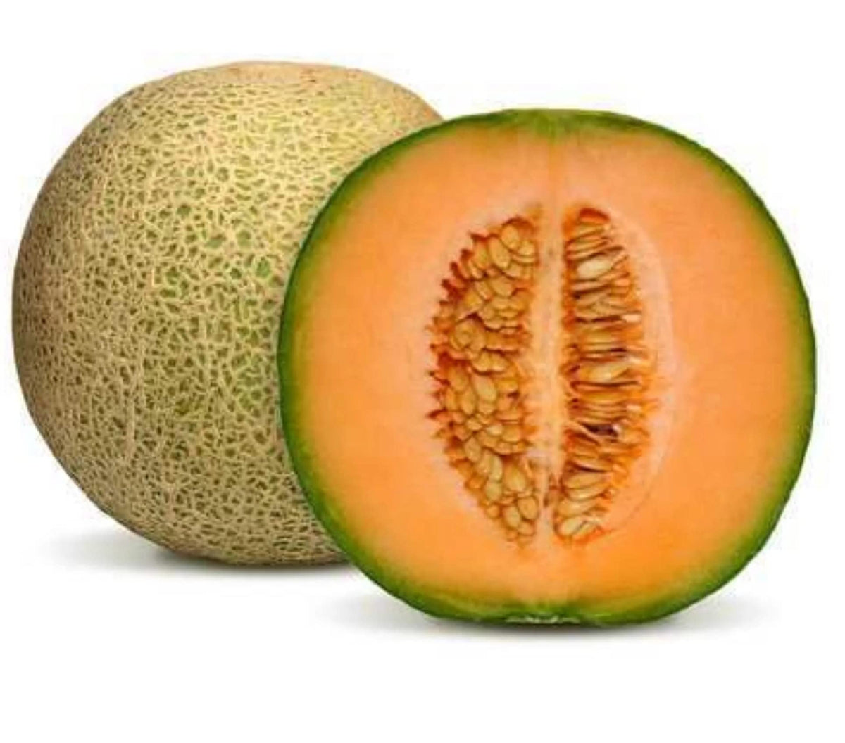Honeydew melon Cucumis melo fruit seeds for planting in backyard gardens - for planting in home garden