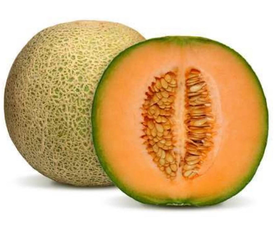 Honeydew melon Cucumis melo fruit seeds for planting in backyard gardens - for planting in home garden