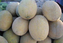Melone Amal F2 Hybrid Seeds for sweet summer fruits