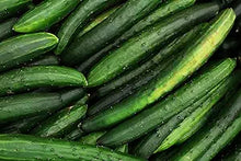 Bonsai Japanese Long Cucumber Seeds (Cucumis sativus) for a reliable harvest in the Vegetable Patch