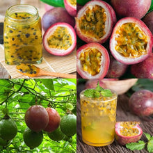 Passion Seeds for a sweet addition to the home orchard
