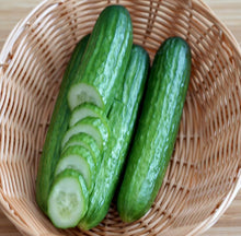 Burpless Cucumber #26 vegetable Seeds prized among growers for easy-to-digest crisp harvests