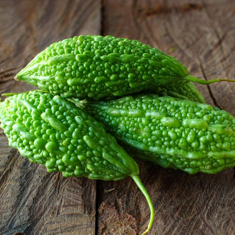 Bitter Gourd Momordica charantia for planting in kitchen garden
