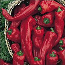 Big Jim Pepper Seeds prized among growers for 2017