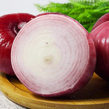 Red Seeds (Burgundy onion) for productive rows in the home kitchen garden or raised beds
