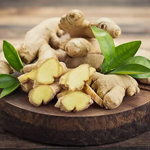 Ginger Zingiber Officinale Root Herb Seeds for seasonal color across the Tropical Indoor Containers