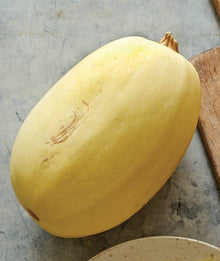 Vegetable Spaghetti Squash Seeds stringy-flesh