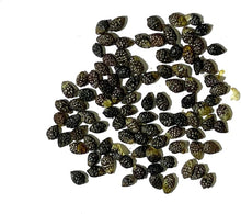 Passionflower Tree Seeds for long-term planting in the Garden Decoration