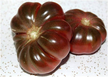 Purple Seeds (Calabash tomato) for growers stocking a kitchen garden