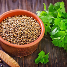 Coriander Seeds for cooks growing their own fresh herbs