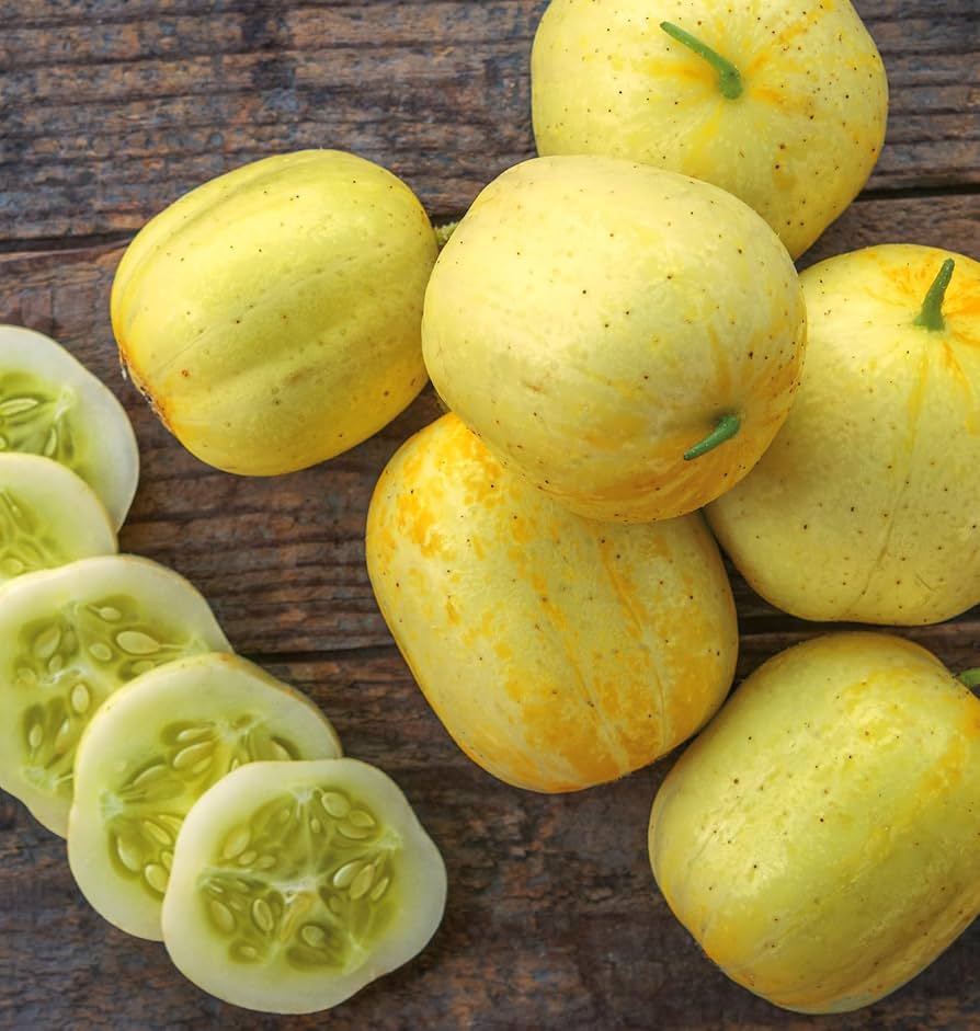 Lemon cucumber heirloom seed for planting
