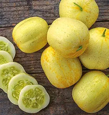 Cucumber Cucumis Sativus Straight Eight Seeds known for kitchen Fresh Slicing