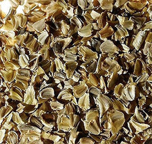 Creeping Daisy Seeds (Bellis perennis) for a bright addition to the Flower Bed & Garden