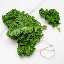 South Giant Mustard Greens Seeds (Brassica juncea) prized among growers for salad Gardening