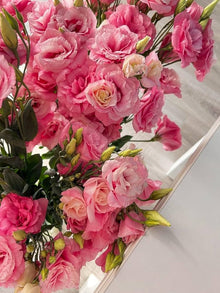 Lisianthus Seeds (Eustoma grandiflorum) for growers filling out the home garden flower bed