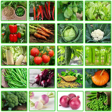 Organic Rare Seeds for a colorful addition to any planting