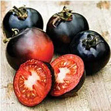 Indigo (Rose Tomato Solanum lycopersicum vegetable) for planting in garden