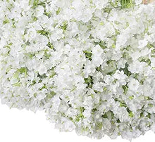 Gypsophila Gypsophila Paniculata Flower Seeds for Planting – Delicate Blooms for Garden Edges and Floral Bouquets