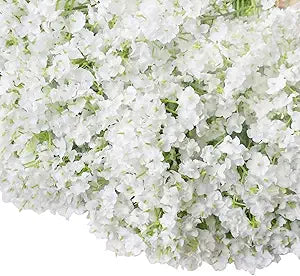 Gypsophila Gypsophila Paniculata Flower Seeds for Planting – Delicate Blooms for Garden Edges and Floral Bouquets